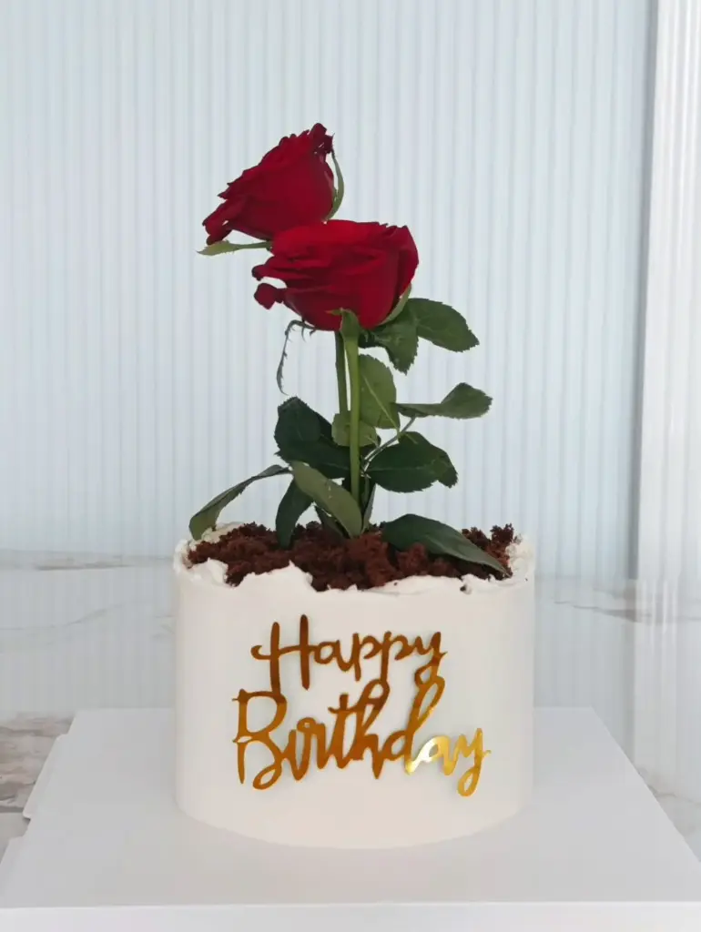 قالب كيكة زريعة الجوري قوارة 6 شخص